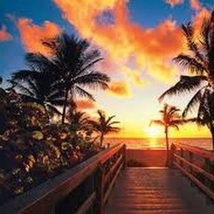 Meet your Posher, Rach